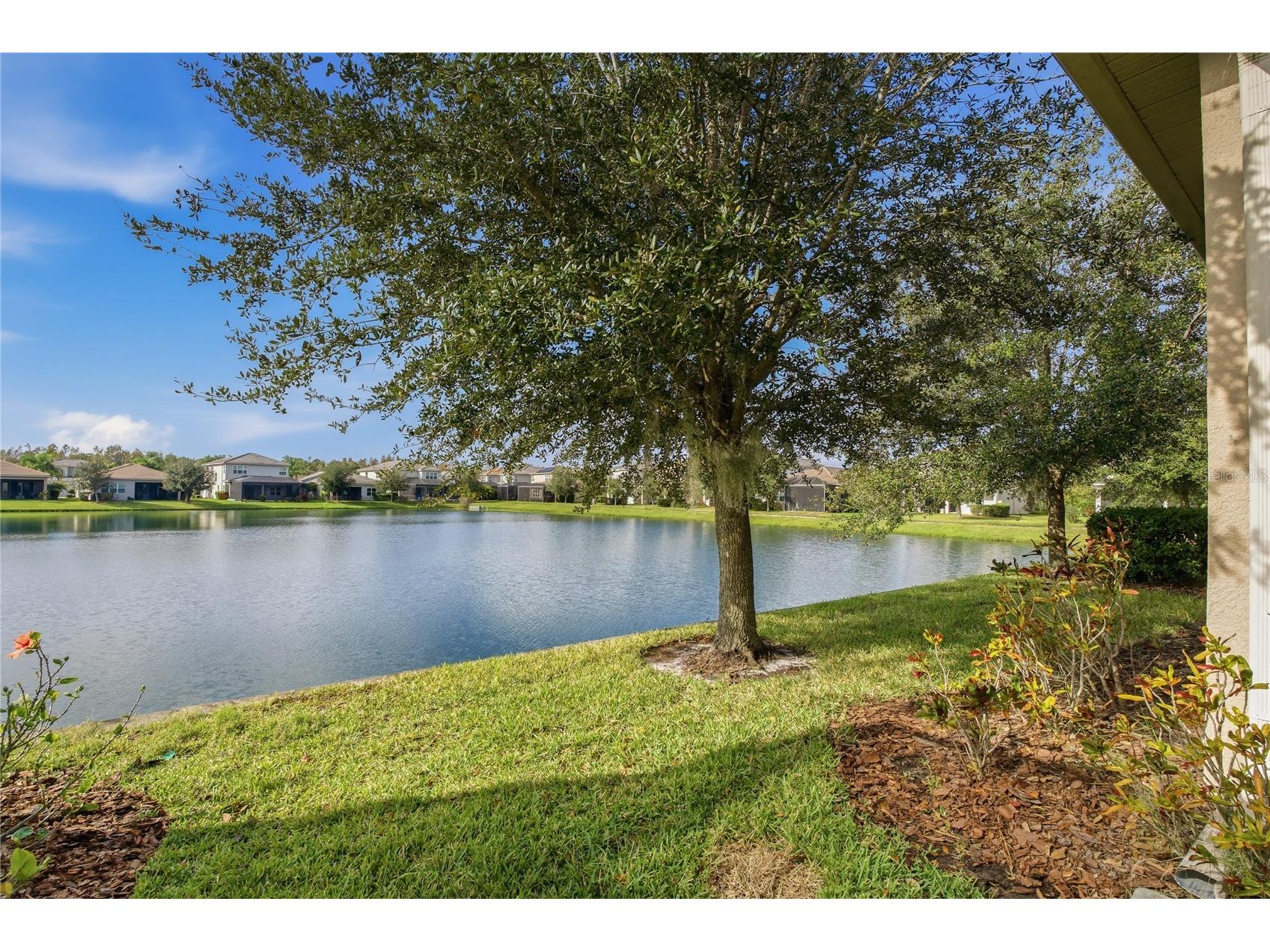 30588 Chesapeake Bay Drive Wesley Chapel FL 33543 TB8491744 image49