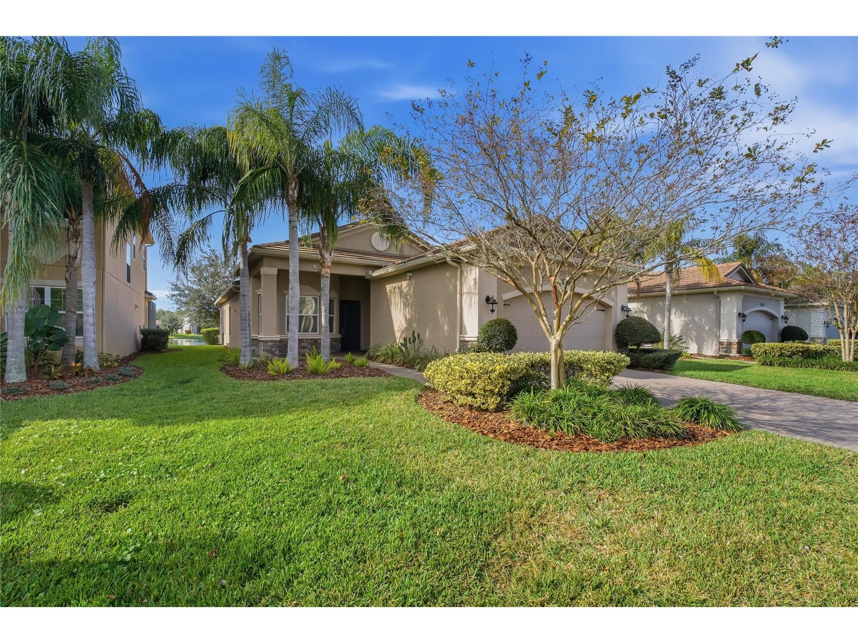 30588 Chesapeake Bay Drive Wesley Chapel FL 33543 TB8491744 image5