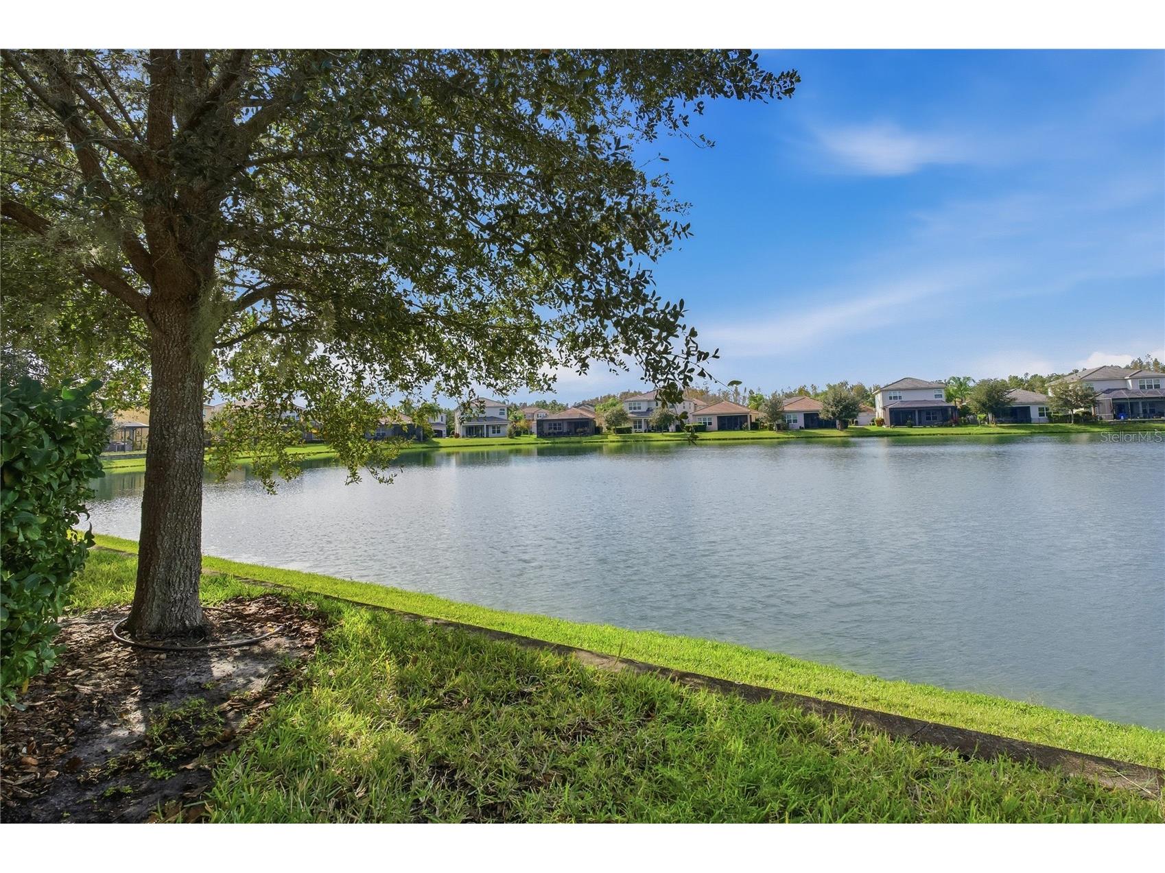 30588 Chesapeake Bay Drive Wesley Chapel FL 33543 TB8491744 image50