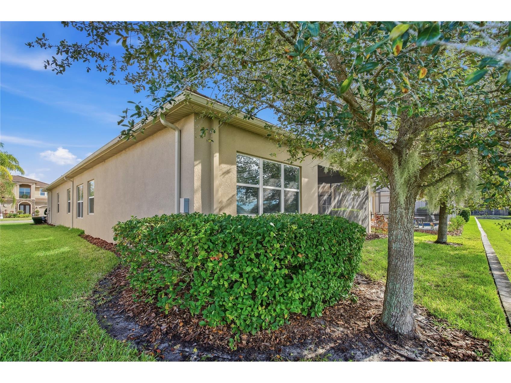 30588 Chesapeake Bay Drive Wesley Chapel FL 33543 TB8491744 image52