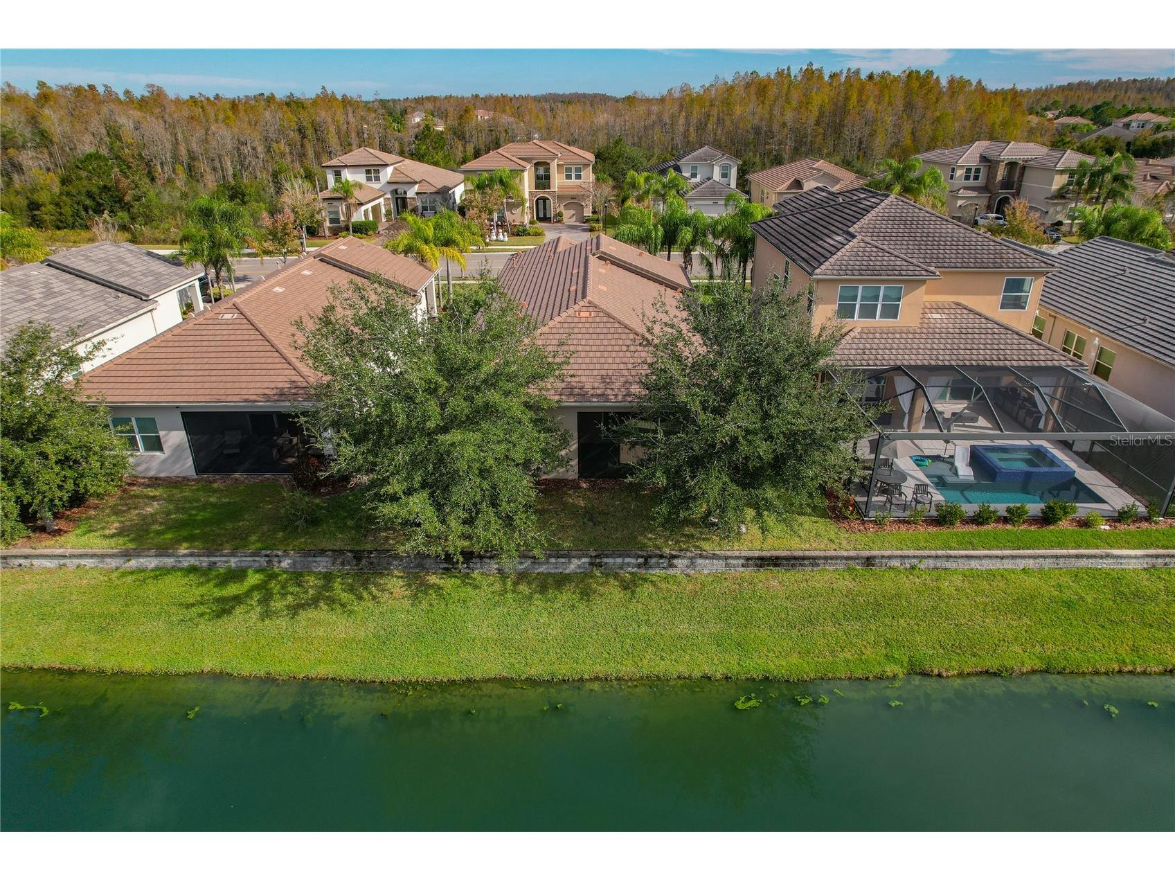 30588 Chesapeake Bay Drive Wesley Chapel FL 33543 TB8491744 image53