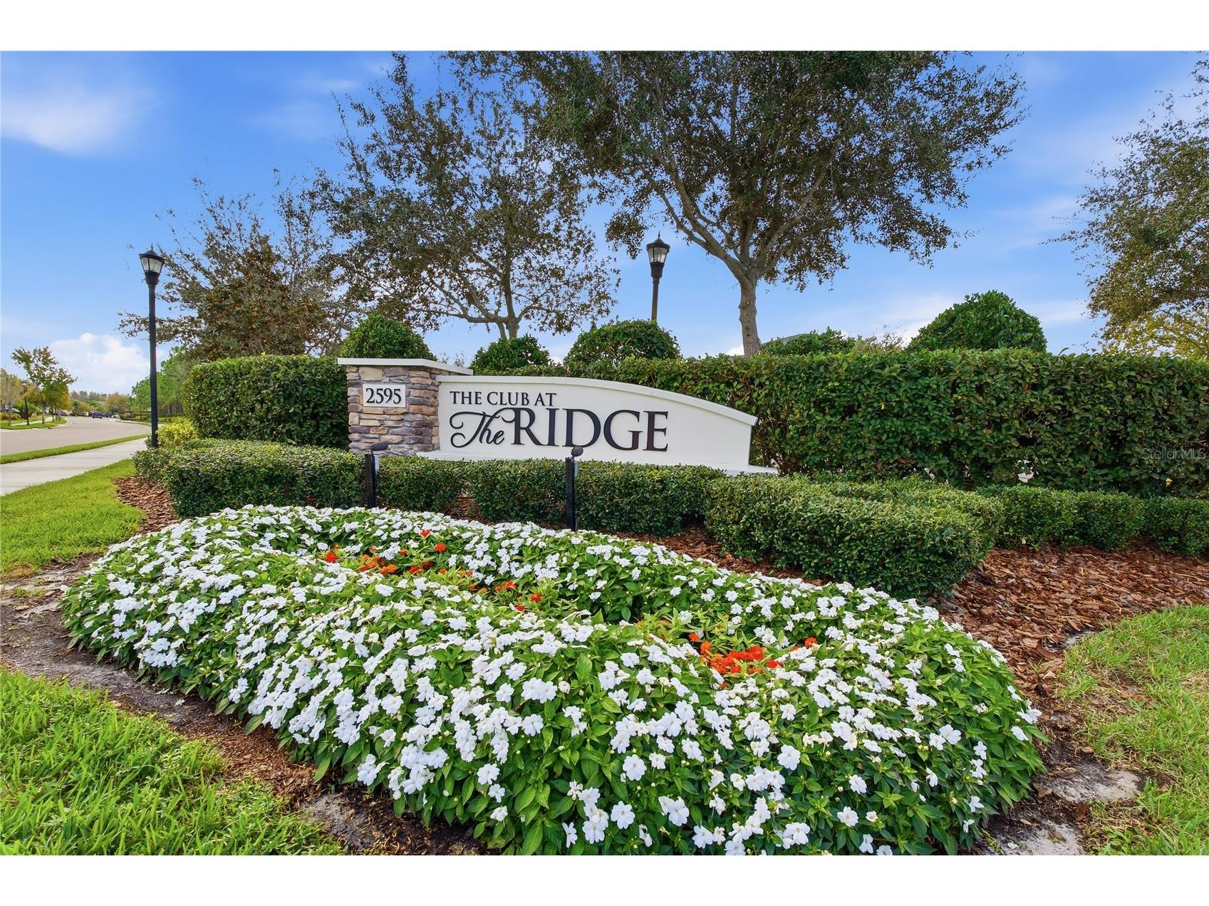 30588 Chesapeake Bay Drive Wesley Chapel FL 33543 TB8491744 image59