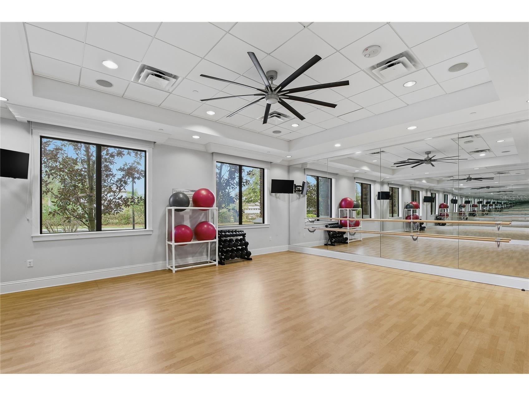 30588 Chesapeake Bay Drive Wesley Chapel FL 33543 TB8491744 image76