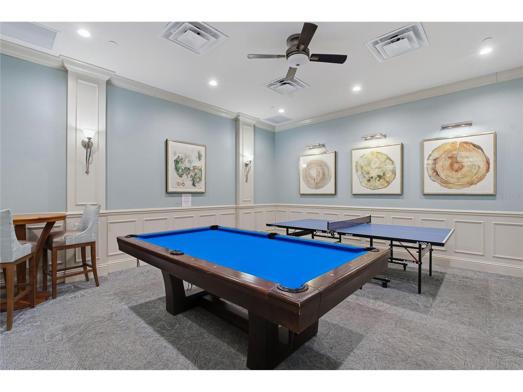 30588 Chesapeake Bay Drive Wesley Chapel FL 33543 TB8491744 image85