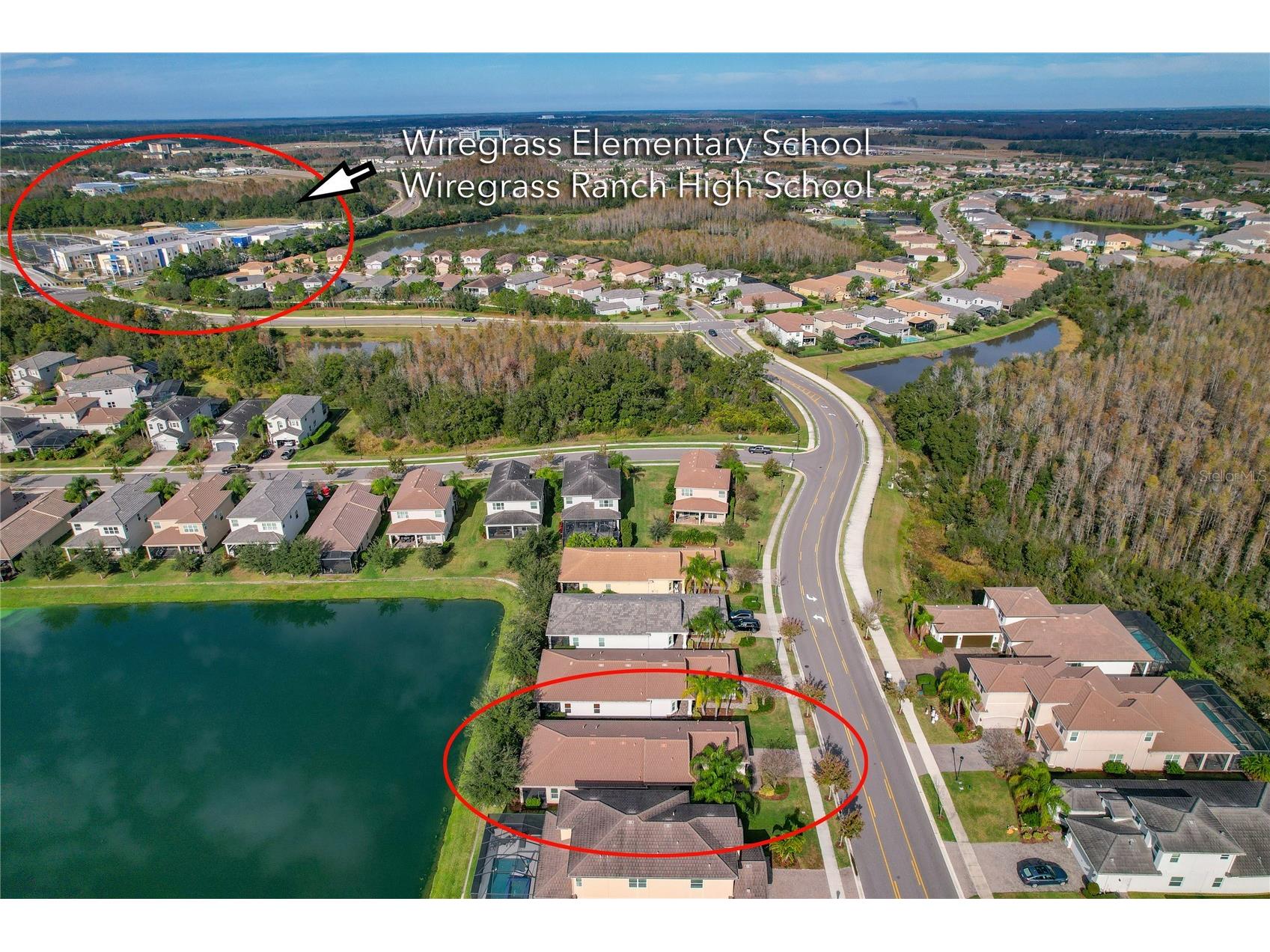 30588 Chesapeake Bay Drive Wesley Chapel FL 33543 TB8491744 image86