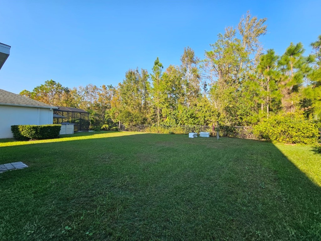 3059 Beaver Creek Drive Kissimmee FL 34746 O6354492 image24