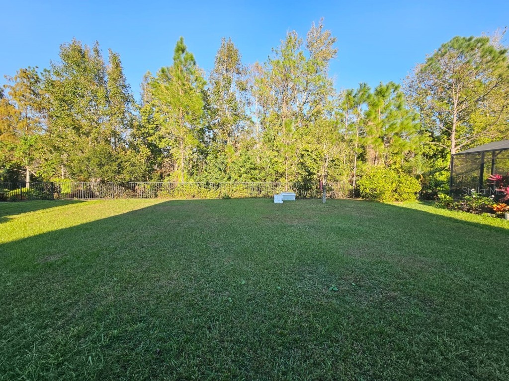 3059 Beaver Creek Drive Kissimmee FL 34746 O6354492 image25