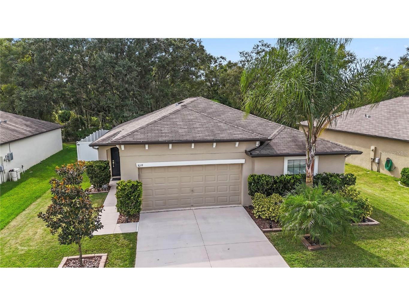 3059 Moulden Hollow Drive Zephyrhills FL 33540 T3479233 image1