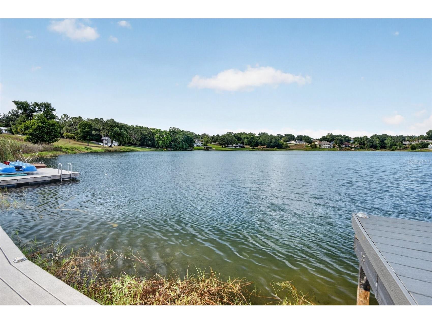 3059 S Lakeshore Court Eustis FL 32726 - LAKE LOUISE O6410630 image57