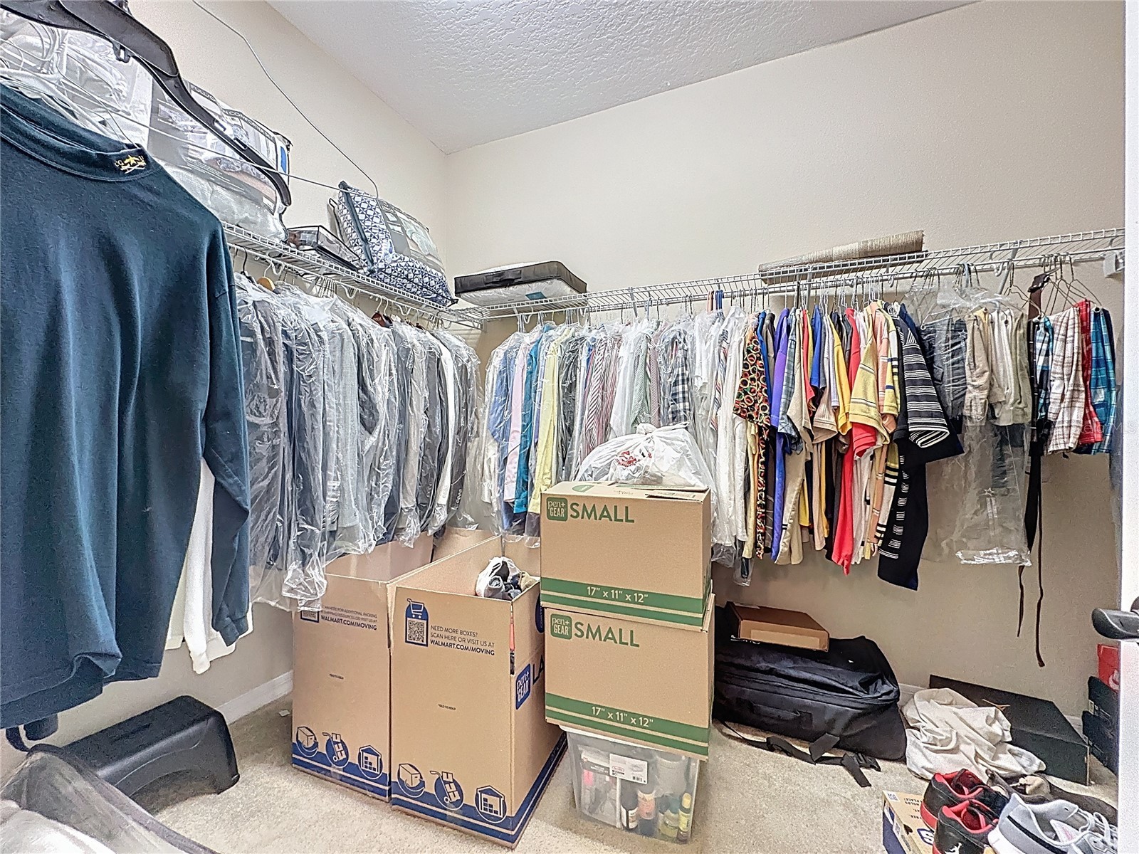 306 Alcove Drive Groveland FL 34736 - SCHOOL HOUSE LAKE G5108109 image33