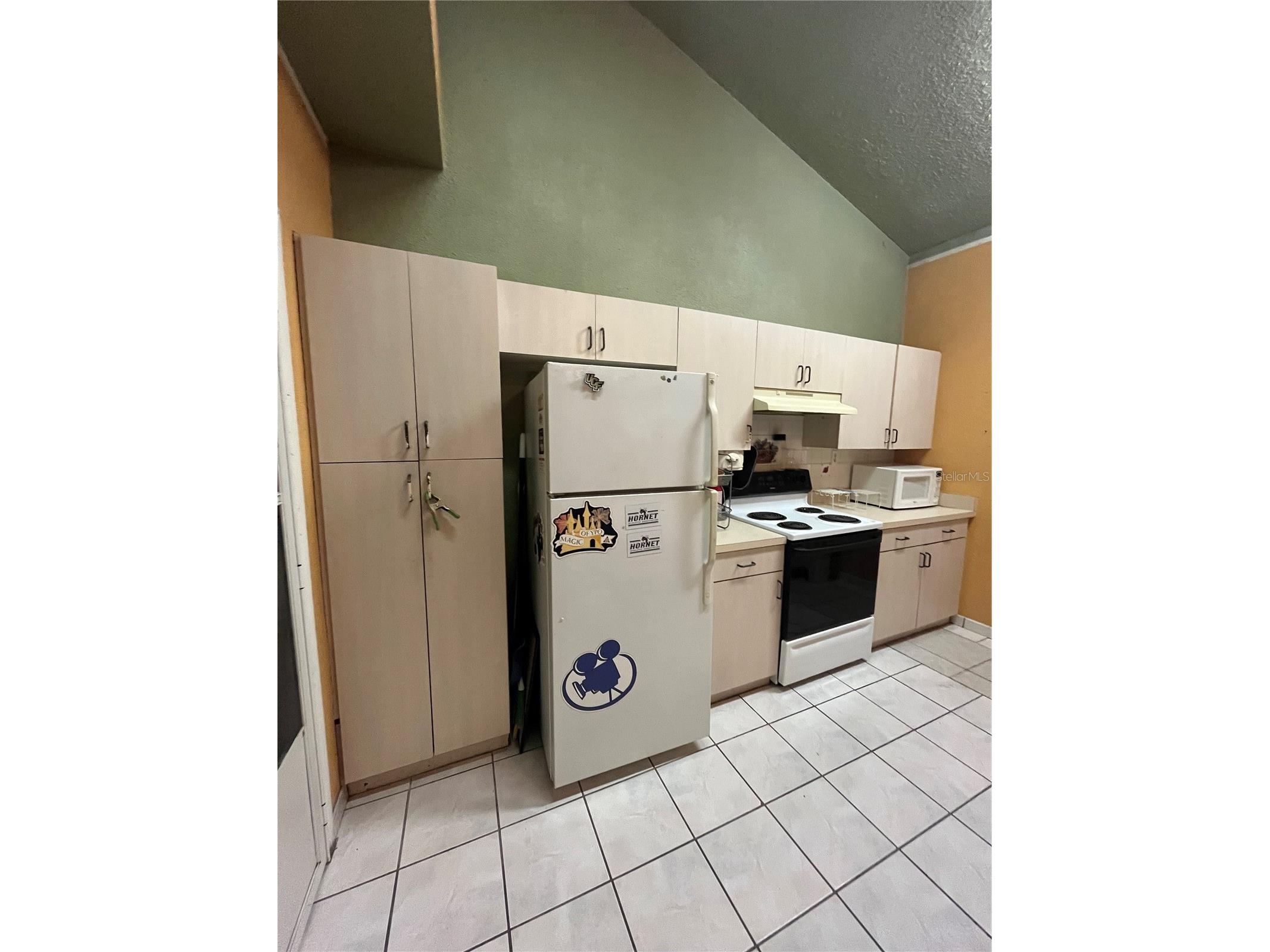 306 Aylesbury Court Kissimmee FL 34758 O6318976 image6