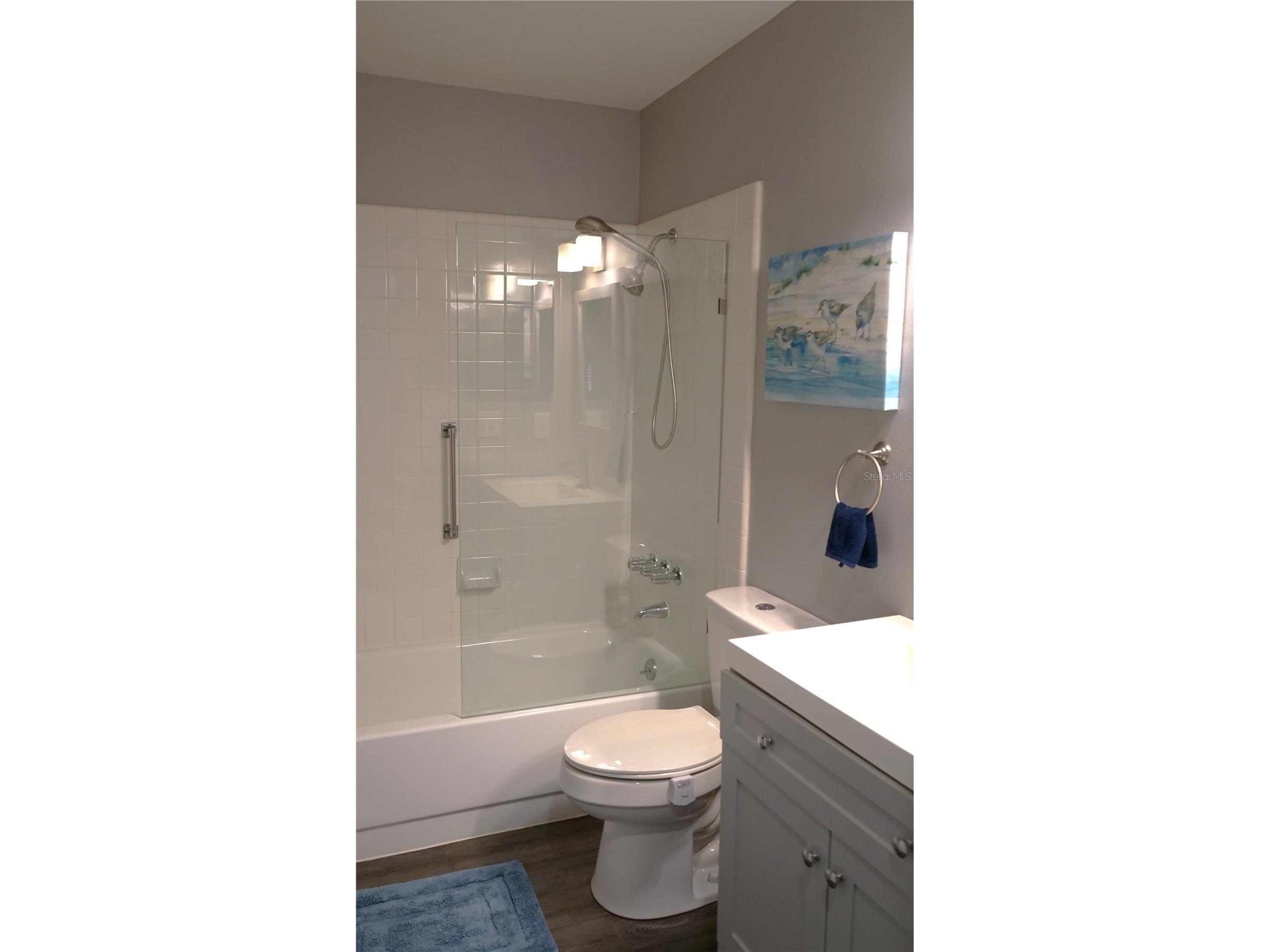 306 B Fowling Court Sun City Center FL 33573 TB8468904 image20