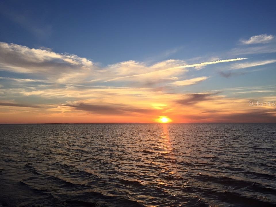 306 Crystal Beach Avenue Crystal Beach FL 34681 TB8527031 image26