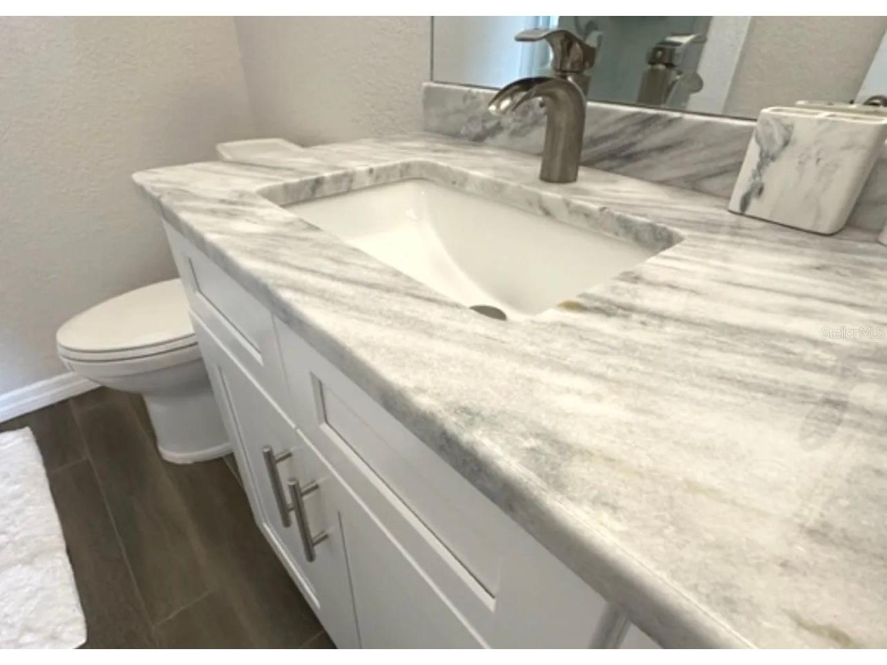 306 Eagle Pond Drive Winter Haven FL 33884 TB8509154 image18