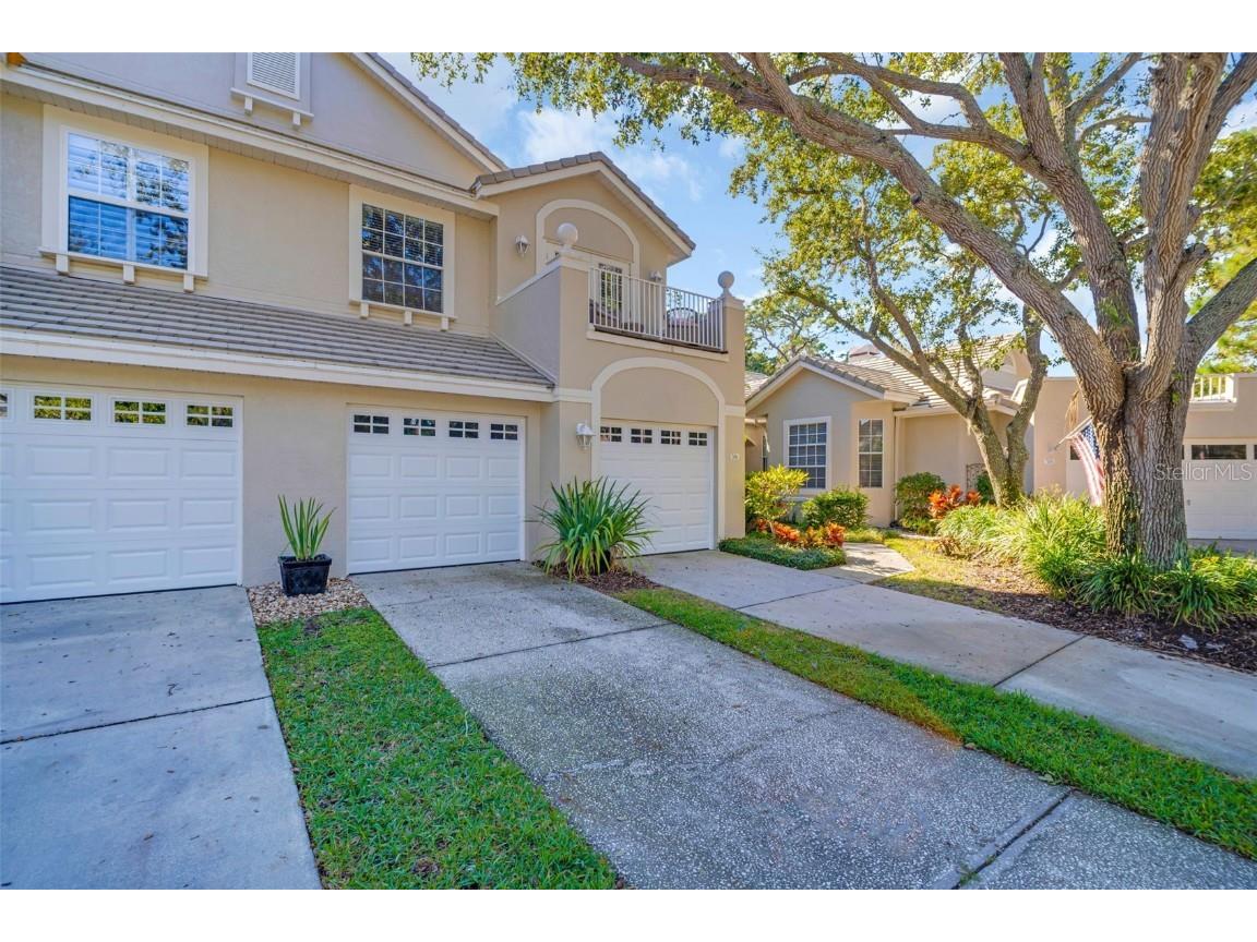 306 Fan Palm Court NE Saint Petersburg FL 33703 TB8445517 image4