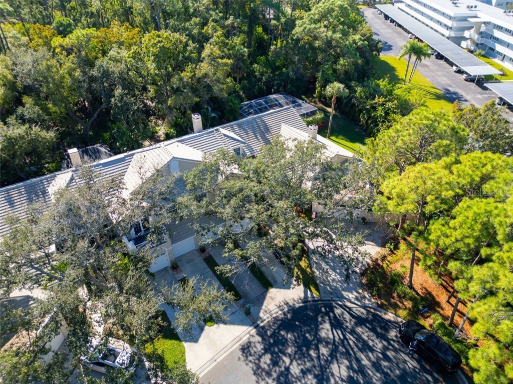 306 Fan Palm Court NE Saint Petersburg FL 33703 TB8445517 image48