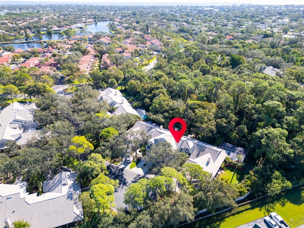 306 Fan Palm Court NE Saint Petersburg FL 33703 TB8445517 image55