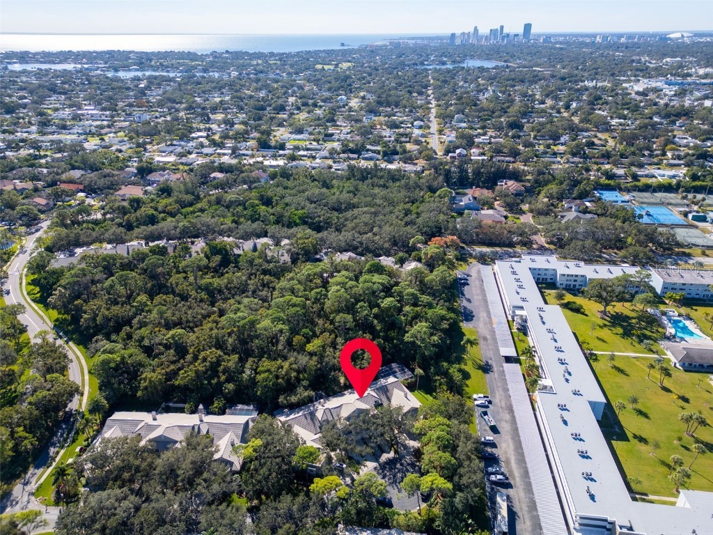 306 Fan Palm Court NE Saint Petersburg FL 33703 TB8445517 image57