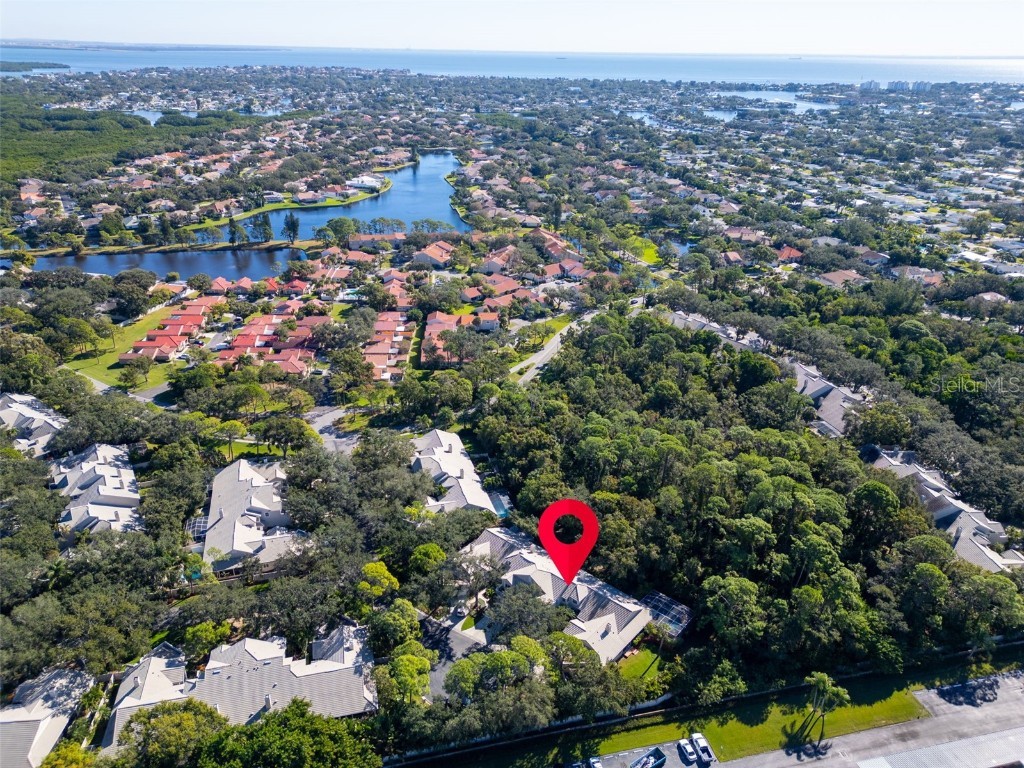 306 Fan Palm Court NE Saint Petersburg FL 33703 TB8445517 image58