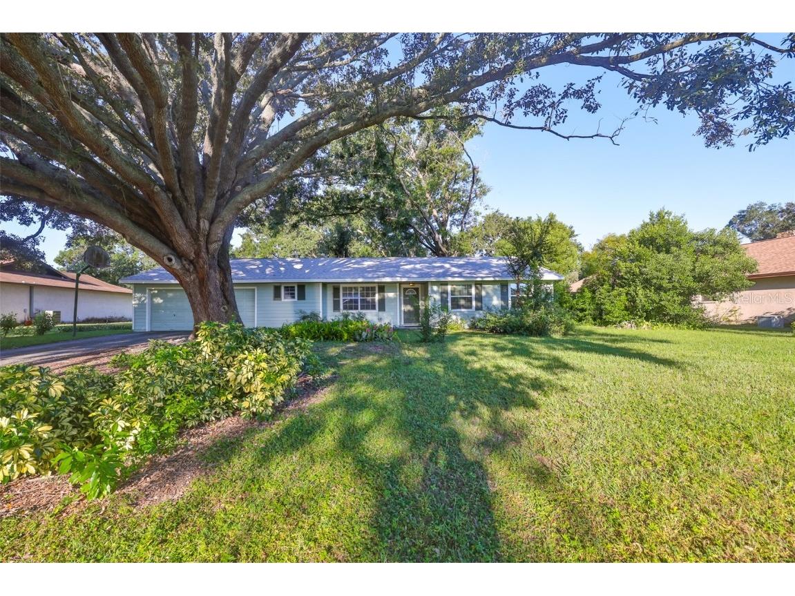 306 Hollowtree Drive Seffner FL 33584 TB8431598 image1