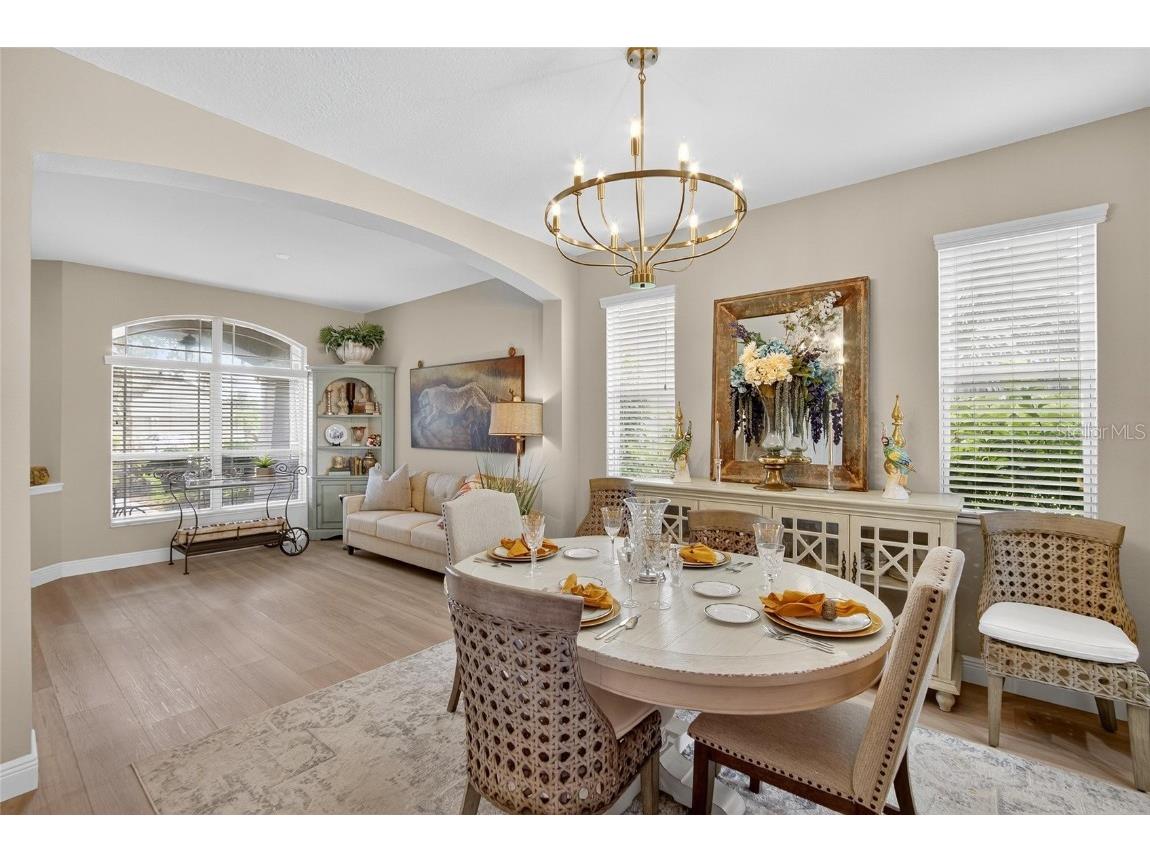 306 Hope Bay Loop Apollo Beach FL 33572 TB8428622 image11