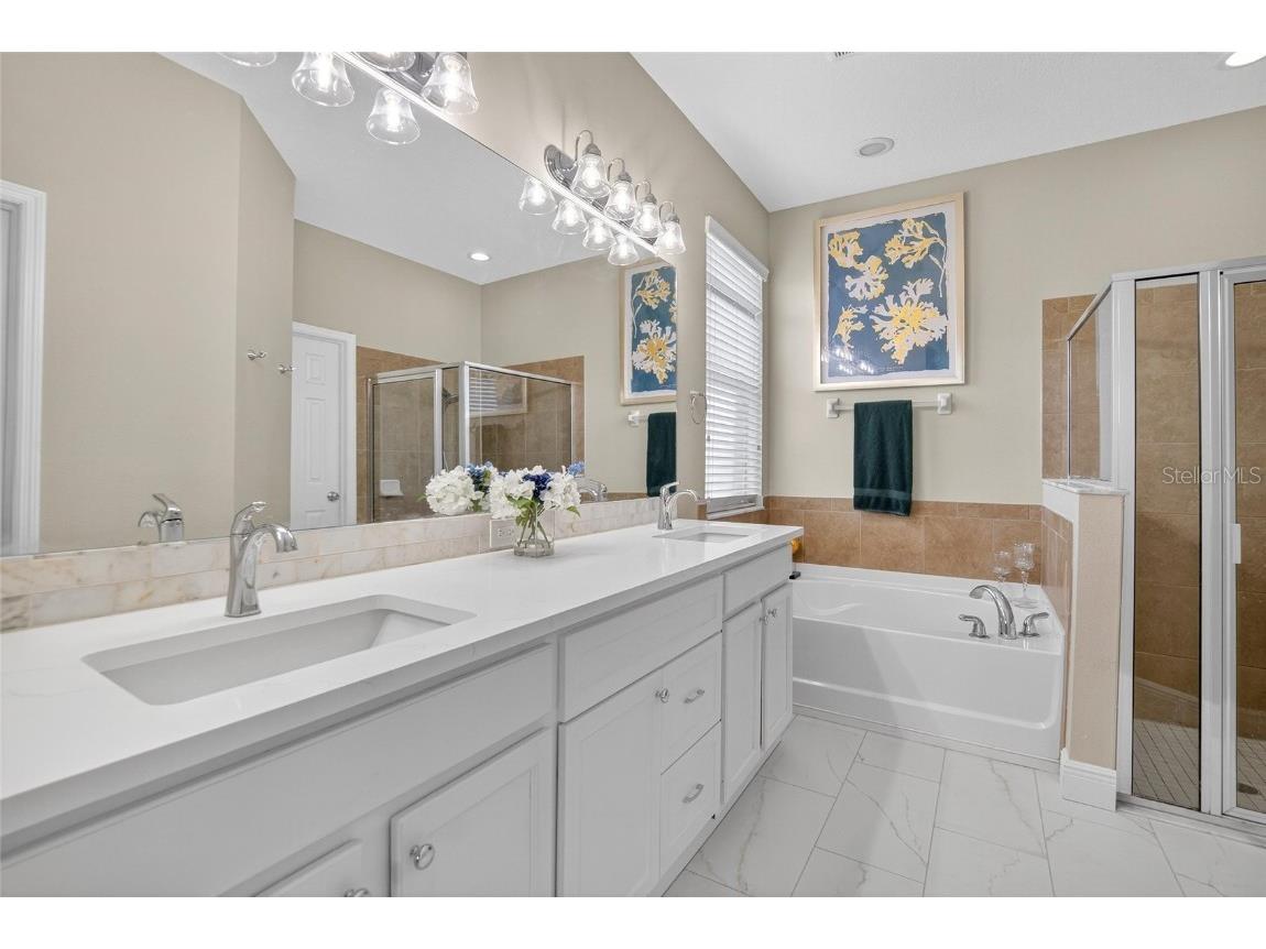 306 Hope Bay Loop Apollo Beach FL 33572 TB8428622 image22