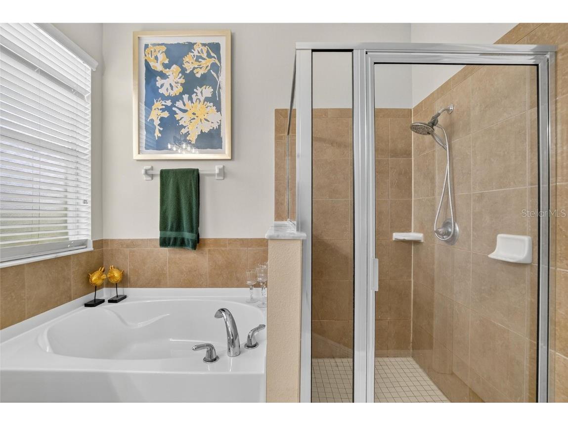 306 Hope Bay Loop Apollo Beach FL 33572 TB8428622 image23