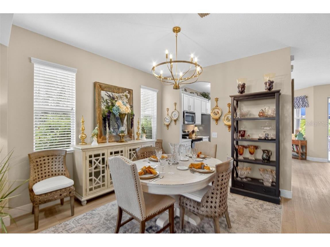 306 Hope Bay Loop Apollo Beach FL 33572 TB8428622 image9