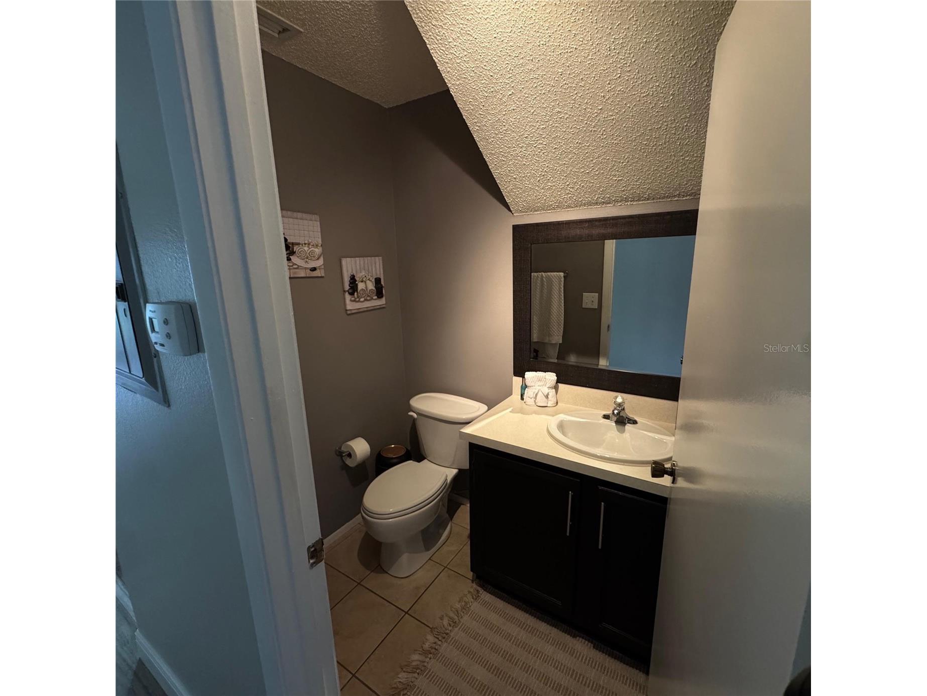306 Kensington Lake Circle Brandon FL 33511 S5147304 image6