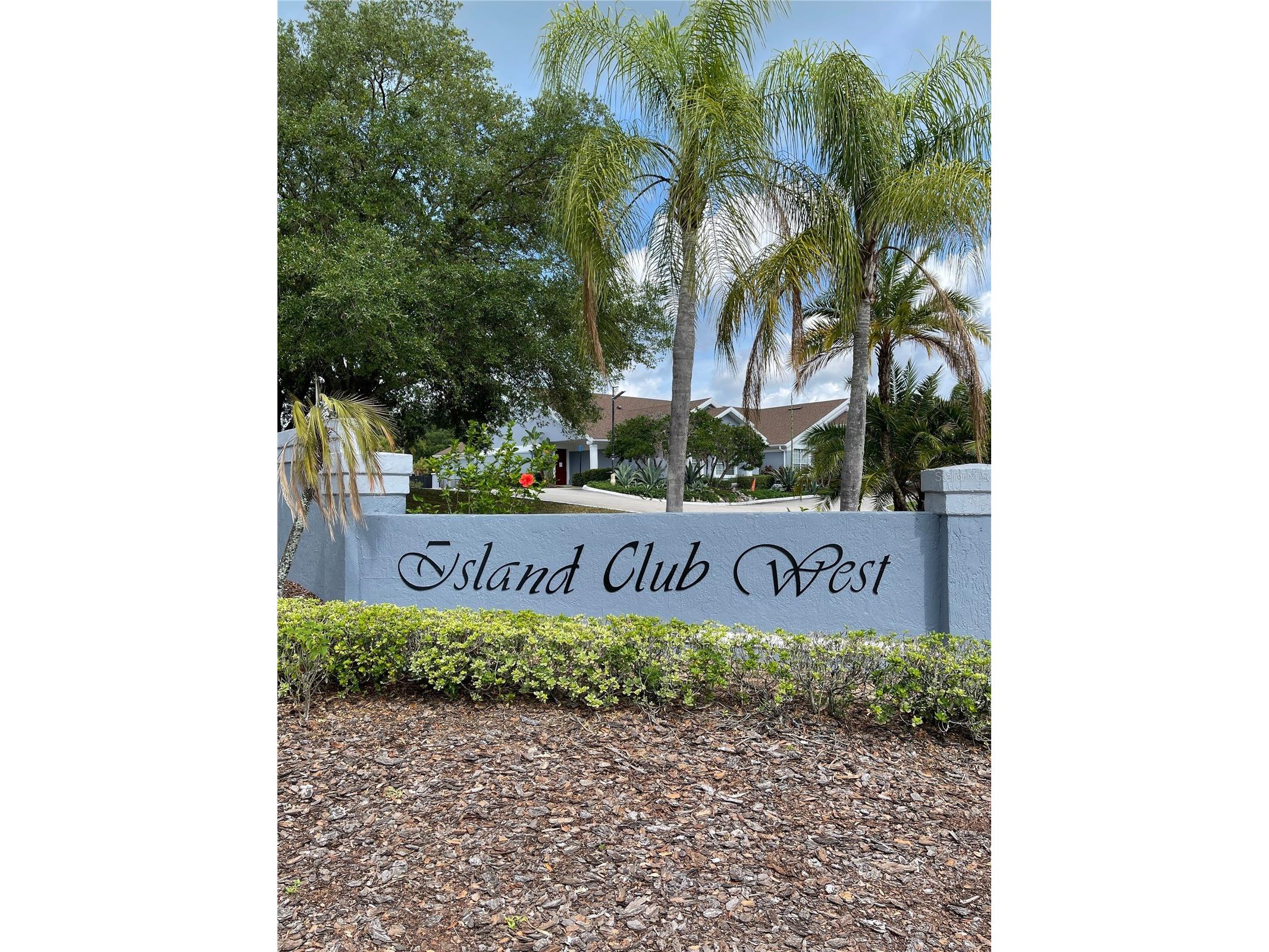 306 Mango Drive Davenport FL 33897 O6392188 image6