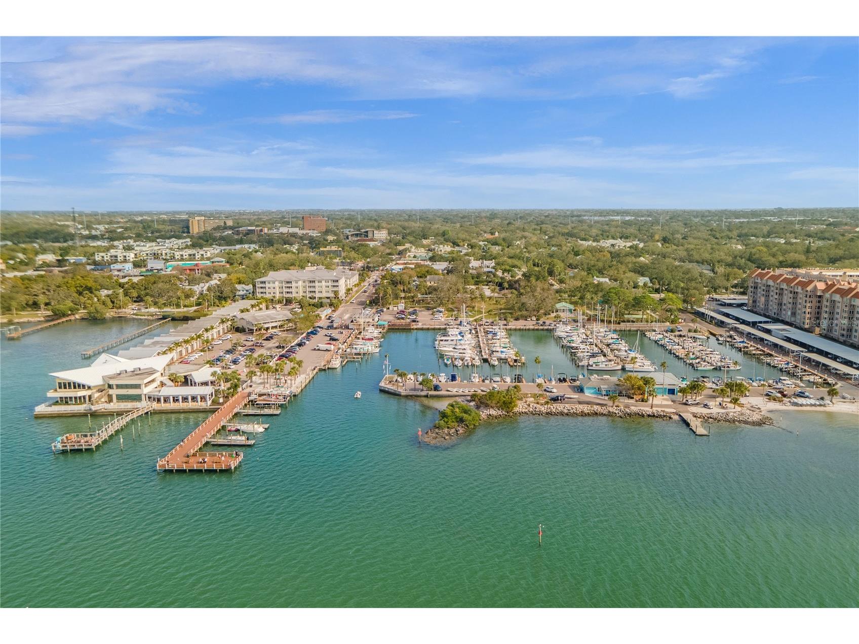 306 Marshall Street Clearwater FL 33755 TB8493151 image74