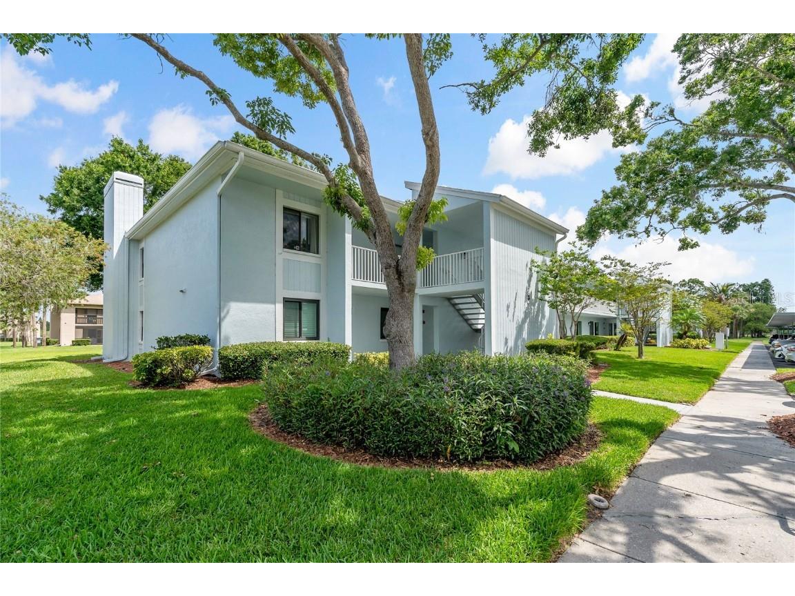 306 Martha Lane #42 Oldsmar FL 34677 W7875437 image1