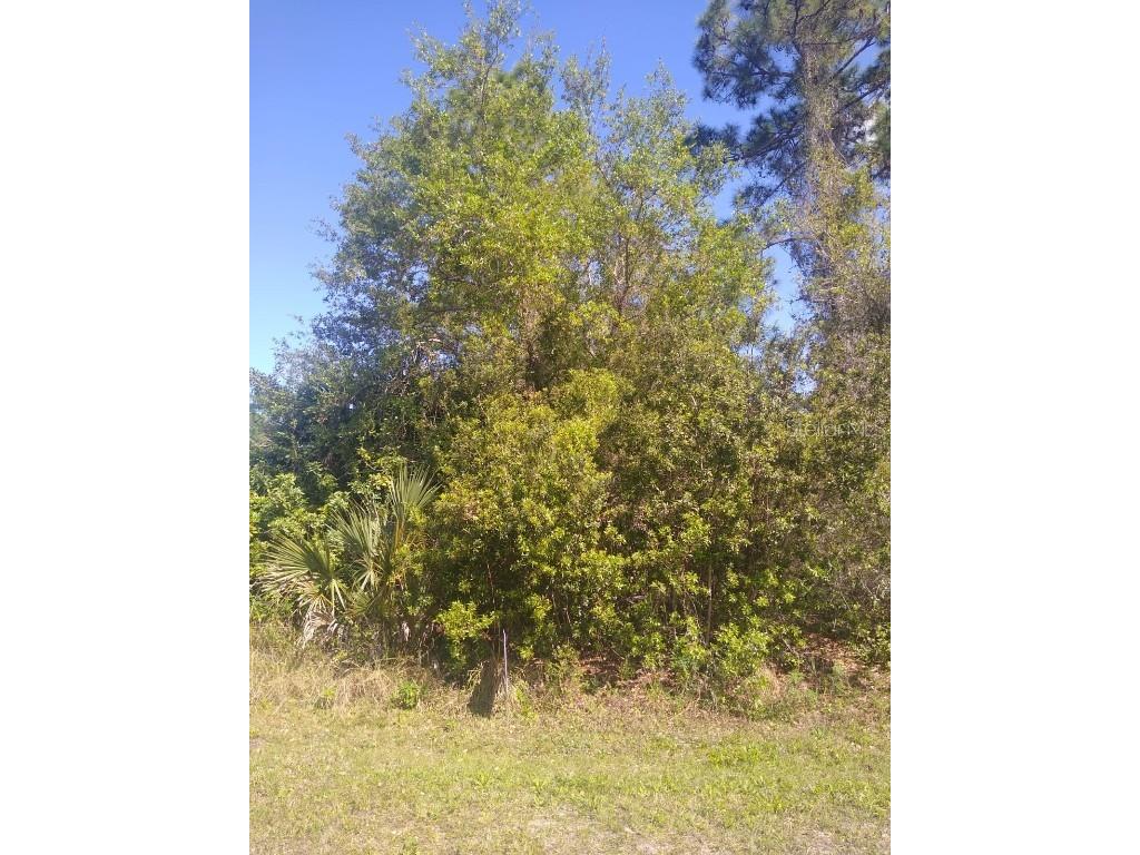 306 Mcdill Drive Port Charlotte FL 33953 C7496051 image1