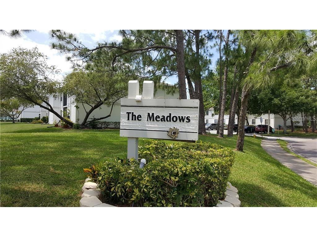 306 Meadow Lane Oldsmar FL 34677 T3434936 image1