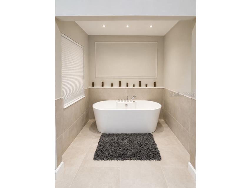 306 N Sweetwater Cove Boulevard Longwood FL 32779 - WEKIVA RIVER O6423982 image22
