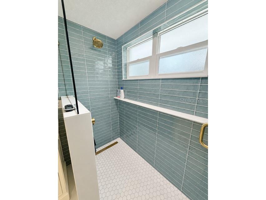 306 N Sweetwater Cove Boulevard Longwood FL 32779 - WEKIVA RIVER O6423982 image40