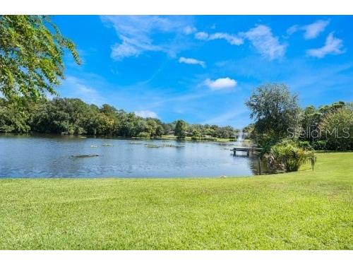 306 N Sweetwater Cove Boulevard Longwood FL 32779 - WEKIVA RIVER O6423982 image46