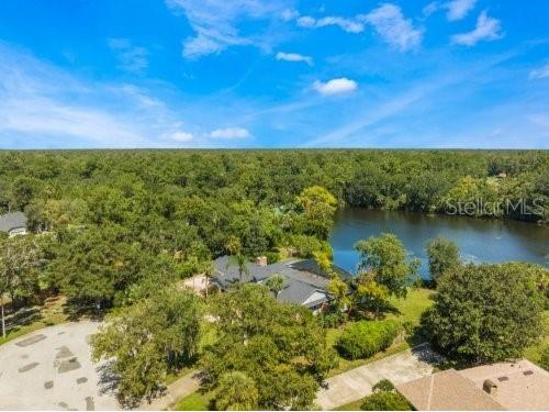 306 N Sweetwater Cove Boulevard Longwood FL 32779 - WEKIVA RIVER O6423982 image52