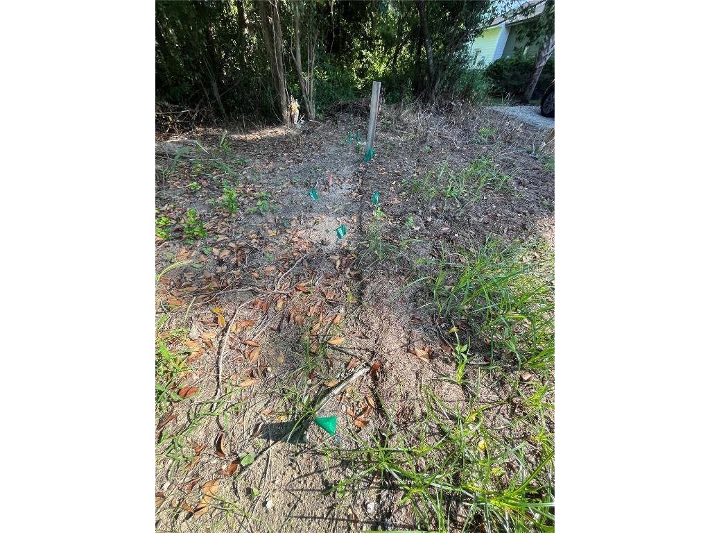 306 Nw 12th Ave Gainesville FL 32601 GC533316 image3