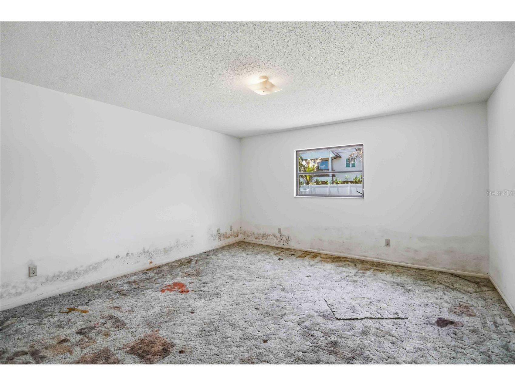 306 Palm Avenue Anna Maria FL 34216 A4693882 image12