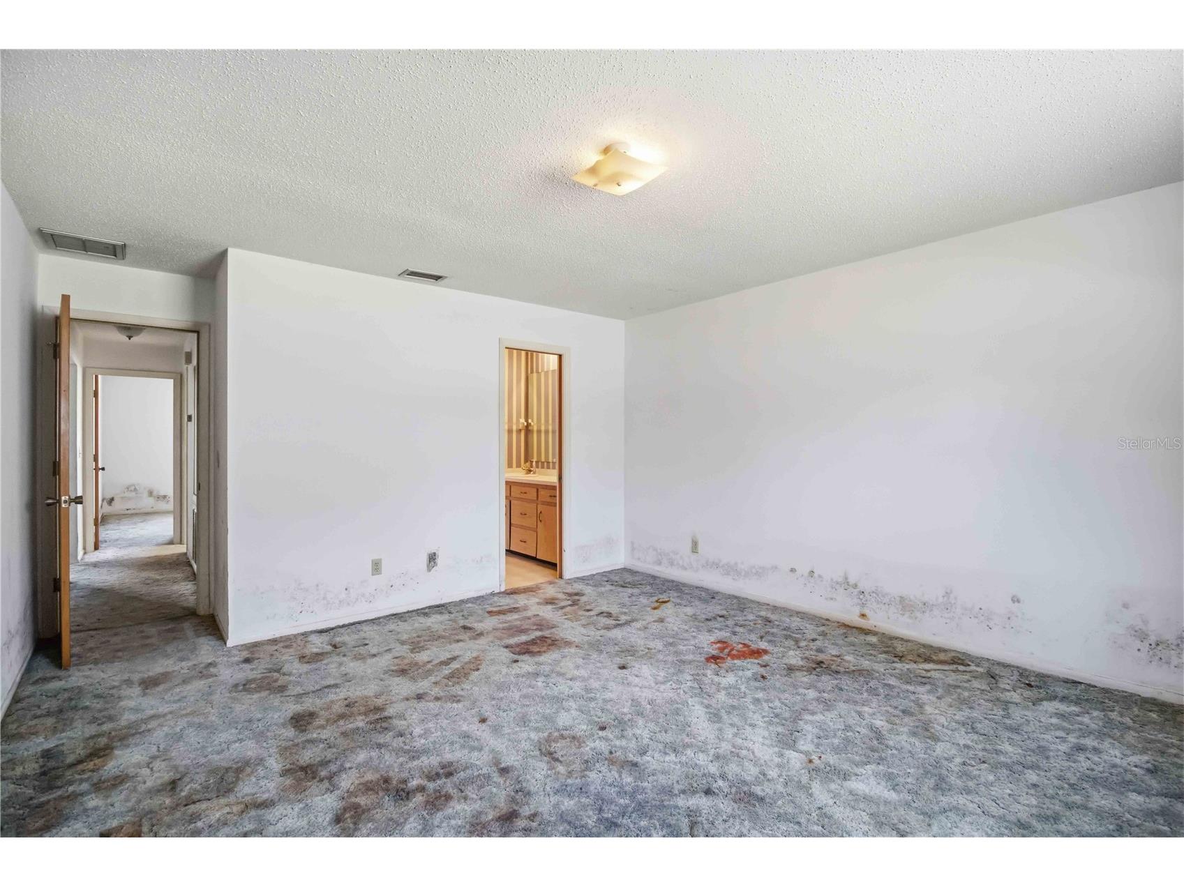 306 Palm Avenue Anna Maria FL 34216 A4693882 image13