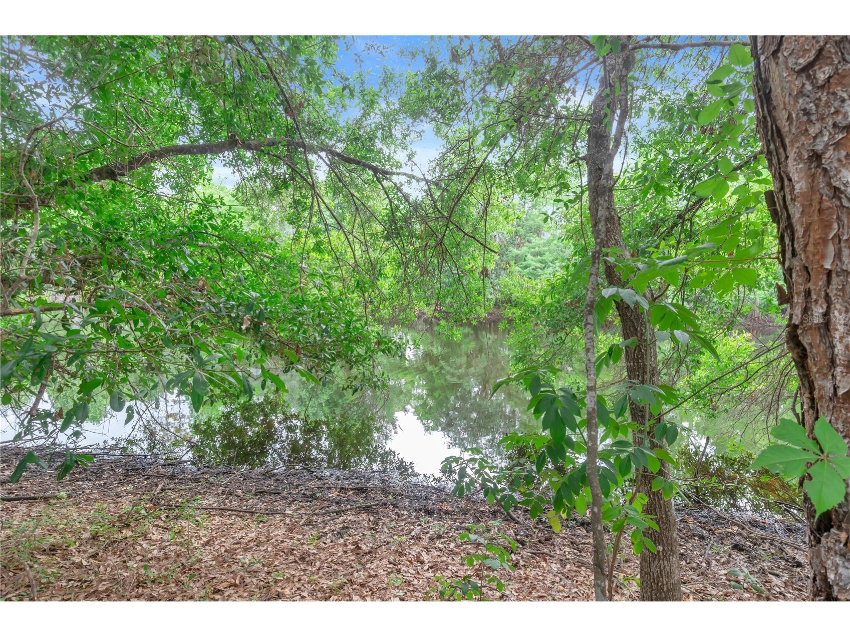 306 Reed Grass Drive Oviedo FL 32765 O6404811 image29
