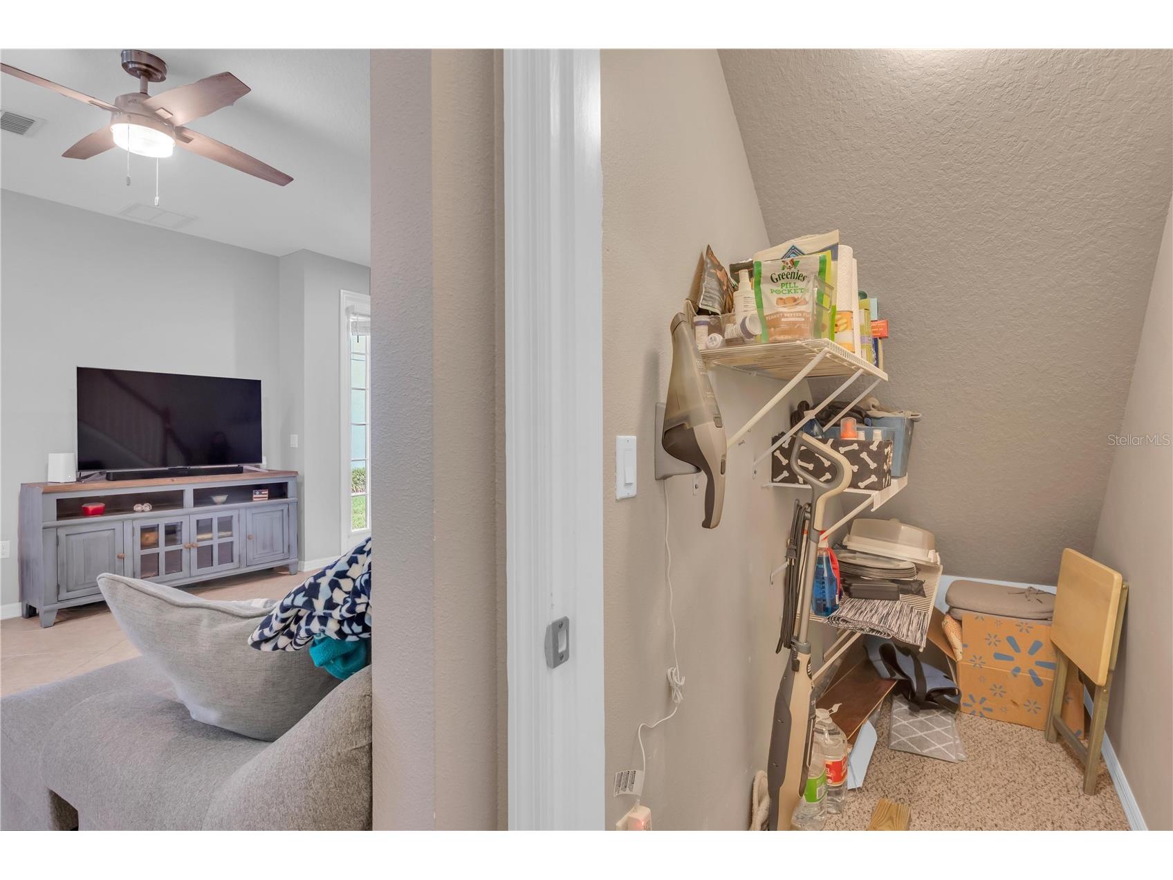 306 Reed Grass Drive Oviedo FL 32765 O6404811 image9