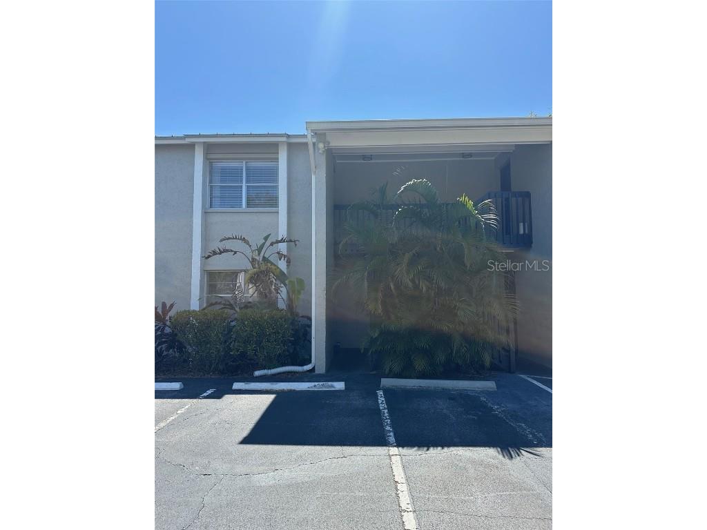 306 S Habana Avenue #7 Tampa FL 33609 TB8341298 image1