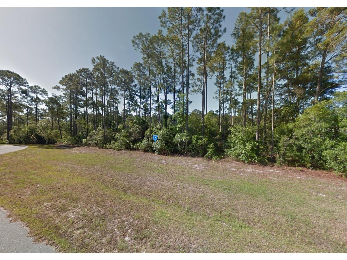 306 Sea Haven Drive Port Saint Joe FL 32456 A4677641 image2