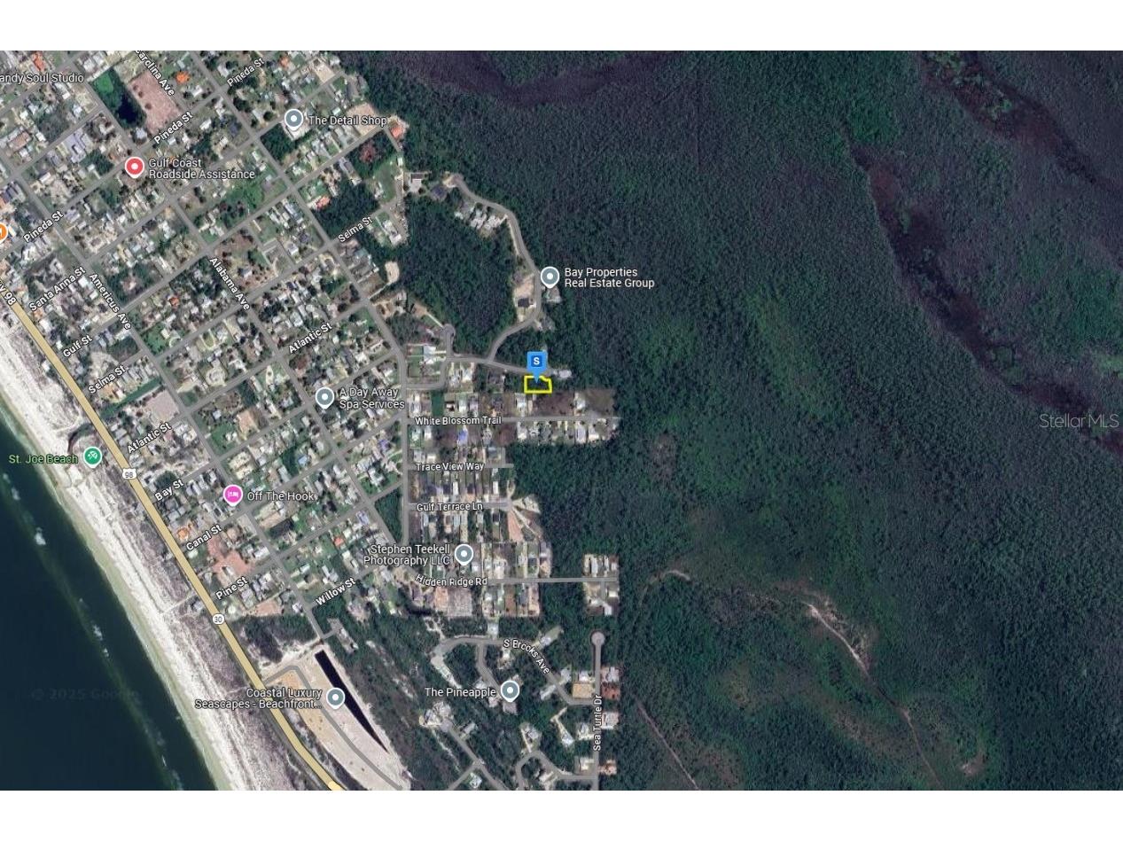 306 Sea Haven Drive Port Saint Joe FL 32456 A4677641 image3