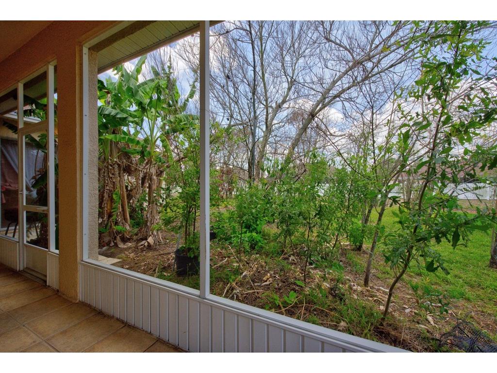 306 Terranova Boulevard Winter Haven FL 33884 TB8522219 image40