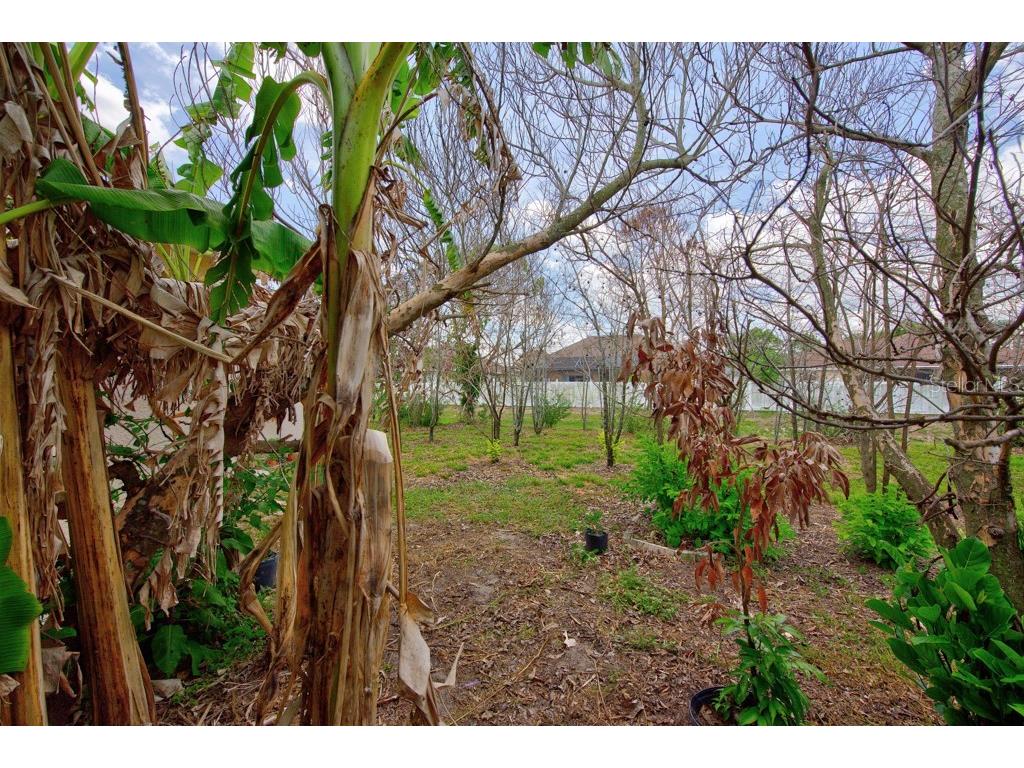 306 Terranova Boulevard Winter Haven FL 33884 TB8522219 image41