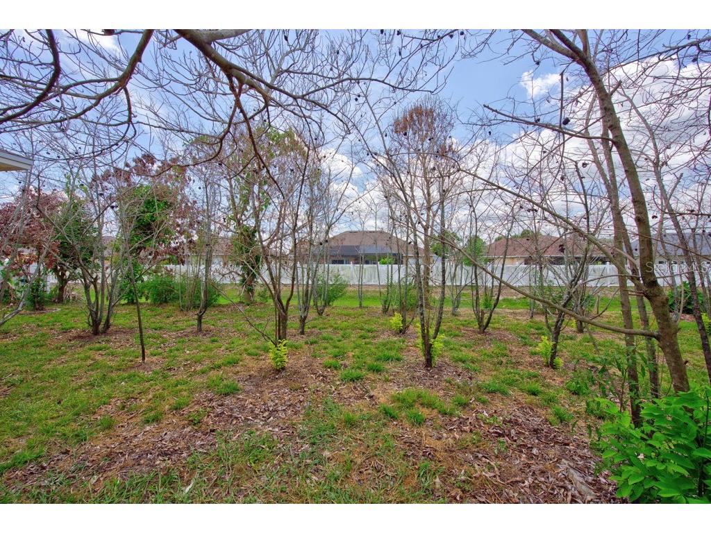 306 Terranova Boulevard Winter Haven FL 33884 TB8522219 image42