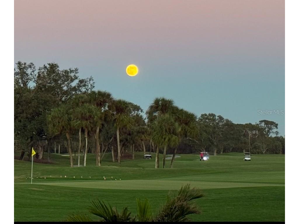 306 Venice Golf Club Drive Venice FL 34292 TB8443035 image56